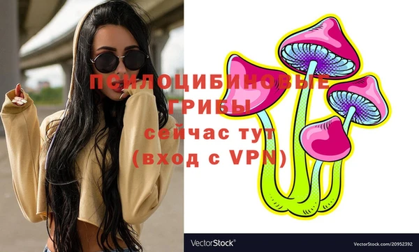спайс Алзамай