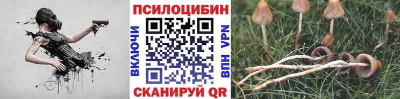 купить наркотики цена  Сатка  hydra как зайти  Псилоцибиновые грибы Psilocybine cubensis 